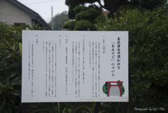 いろは坂を登ると
