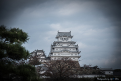 白鷺城