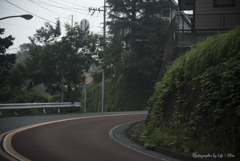 いろは坂を登ると
