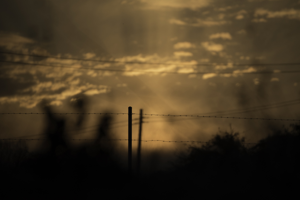 夕日の中で