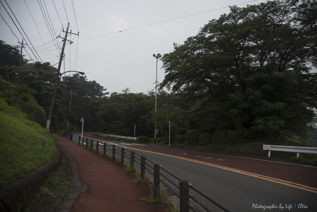 いろは坂を登ると