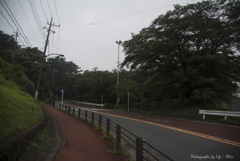 いろは坂を登ると