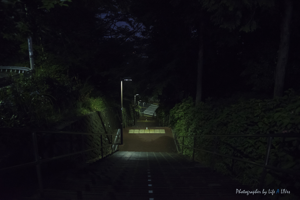 いろは坂を登ると