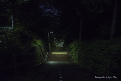 いろは坂を登ると