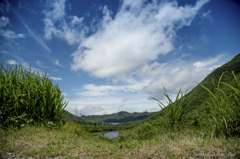 赤城山（初夏）