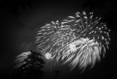 空に咲く花の下で