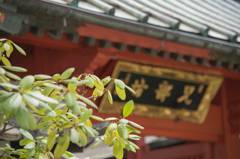 善光寺