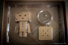 DANBOARD
