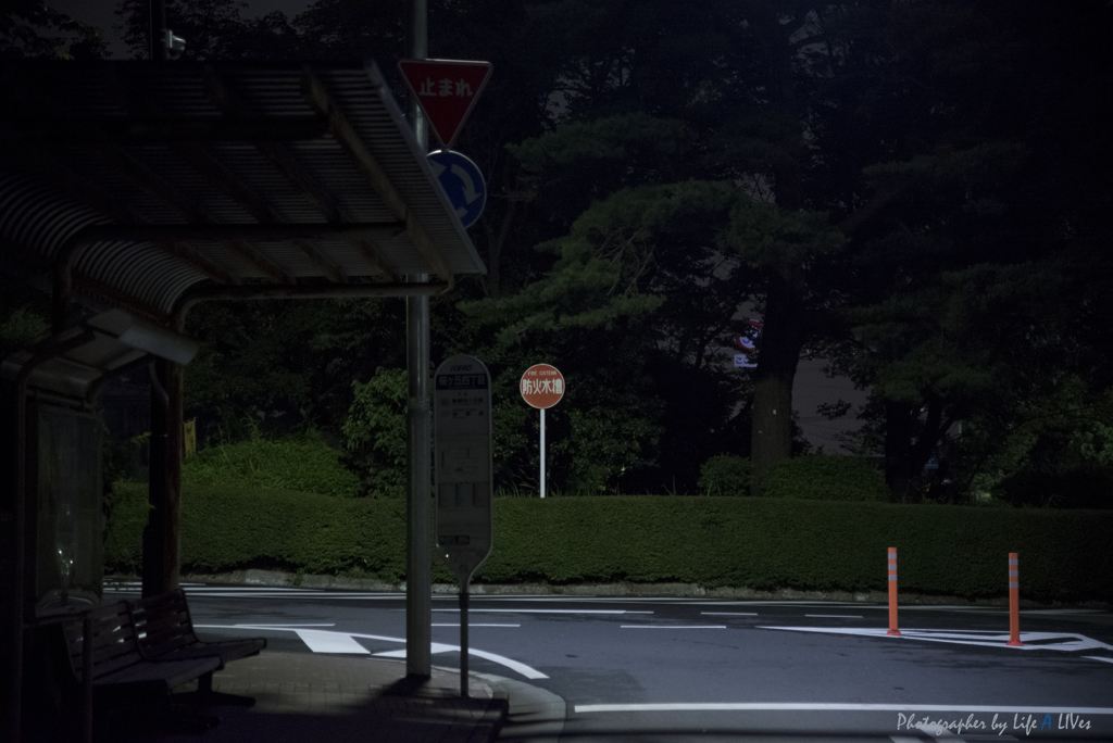 いろは坂を登ると