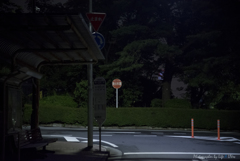 いろは坂を登ると