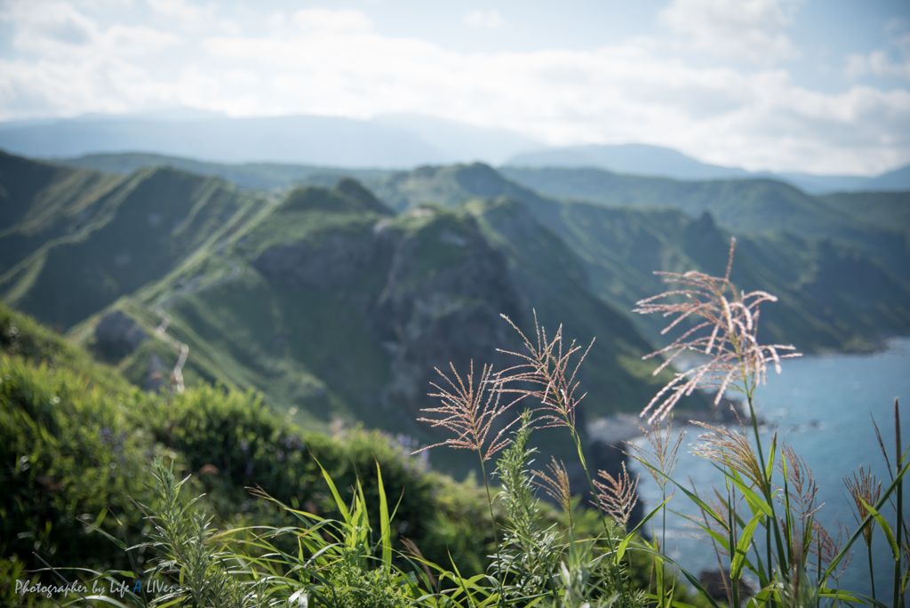 幻想風景