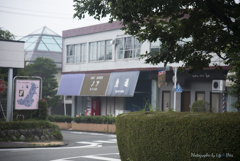 いろは坂を登ると