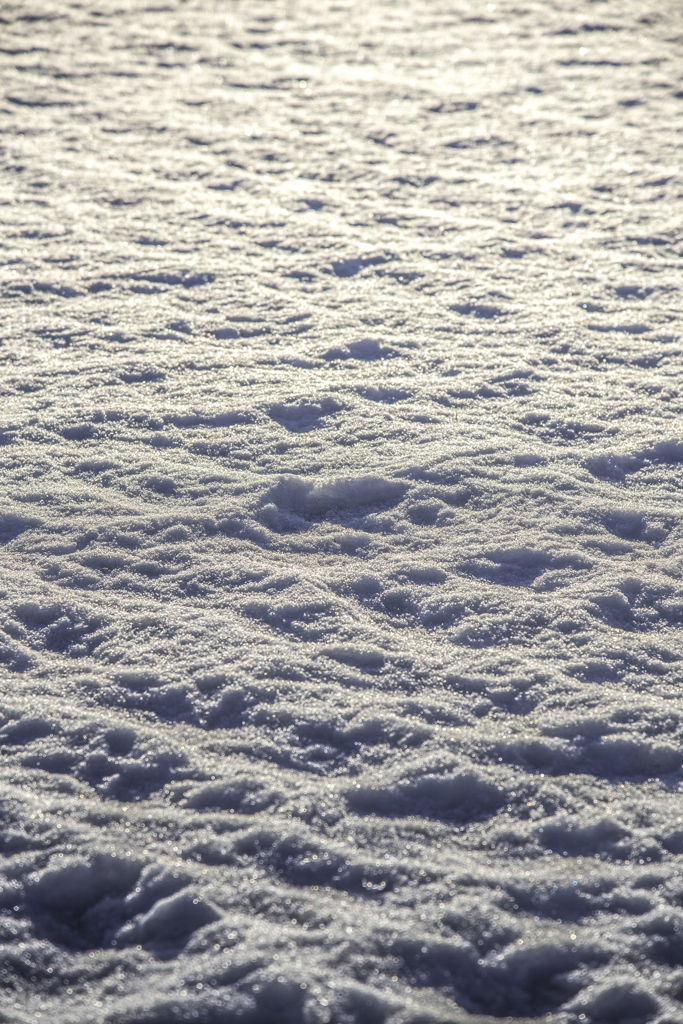 雪景色