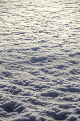 雪景色
