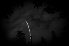 空に咲く花の下で