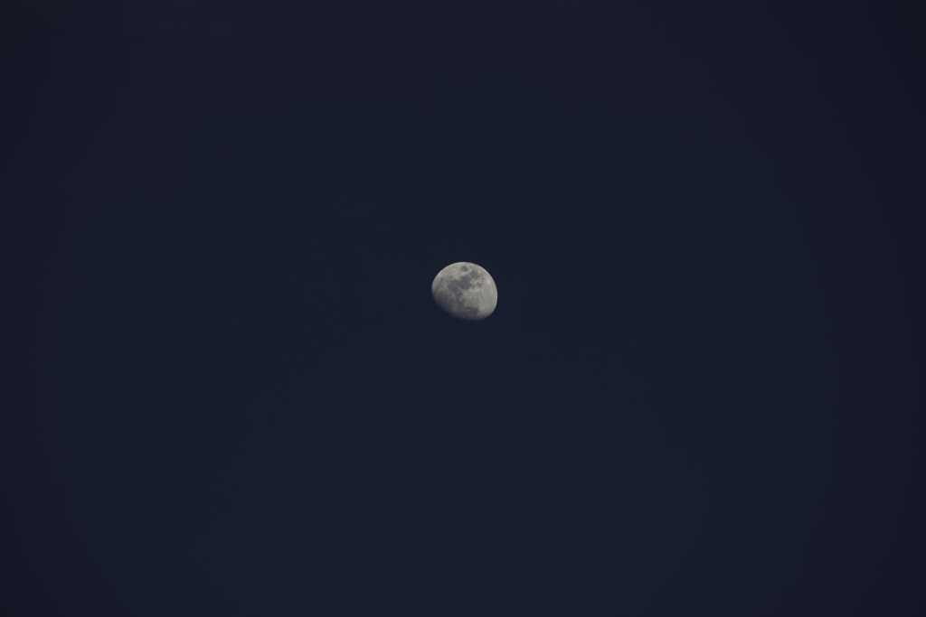春の夕暮れ空