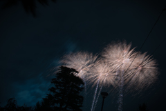 空に咲く花の下で