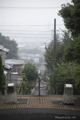 いろは坂を登ると