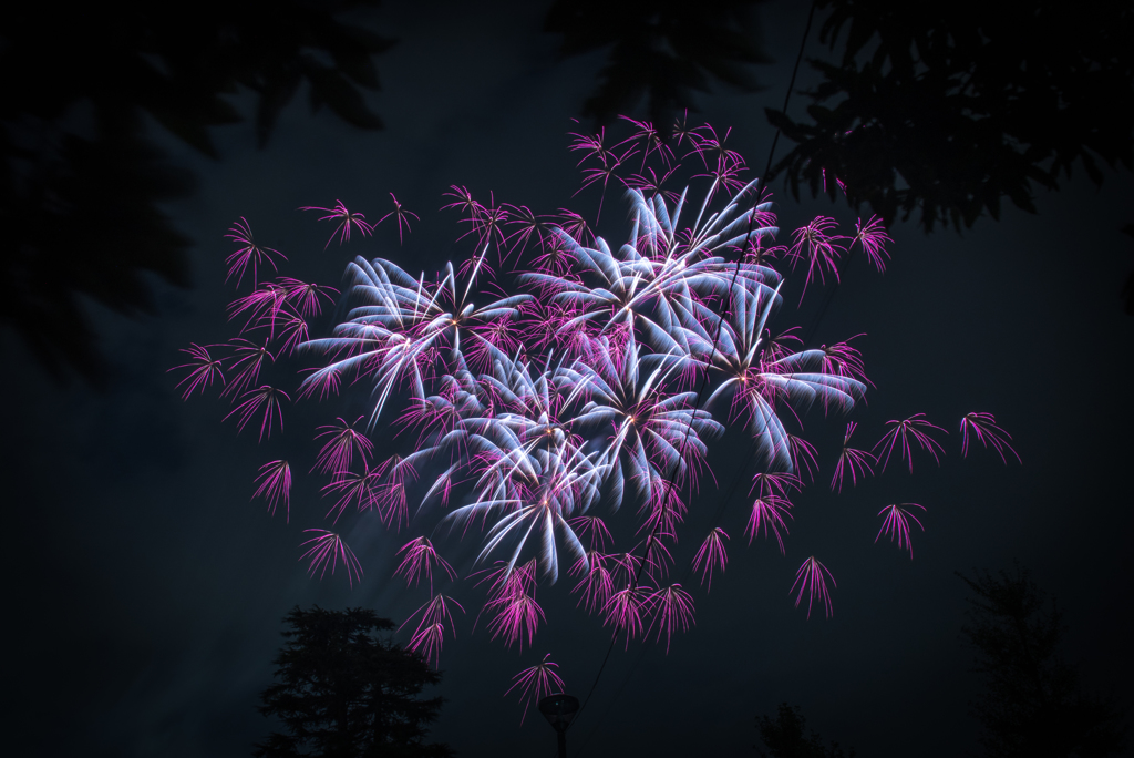 空に咲く花の下で
