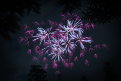空に咲く花の下で