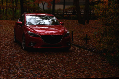 紅葉の中で