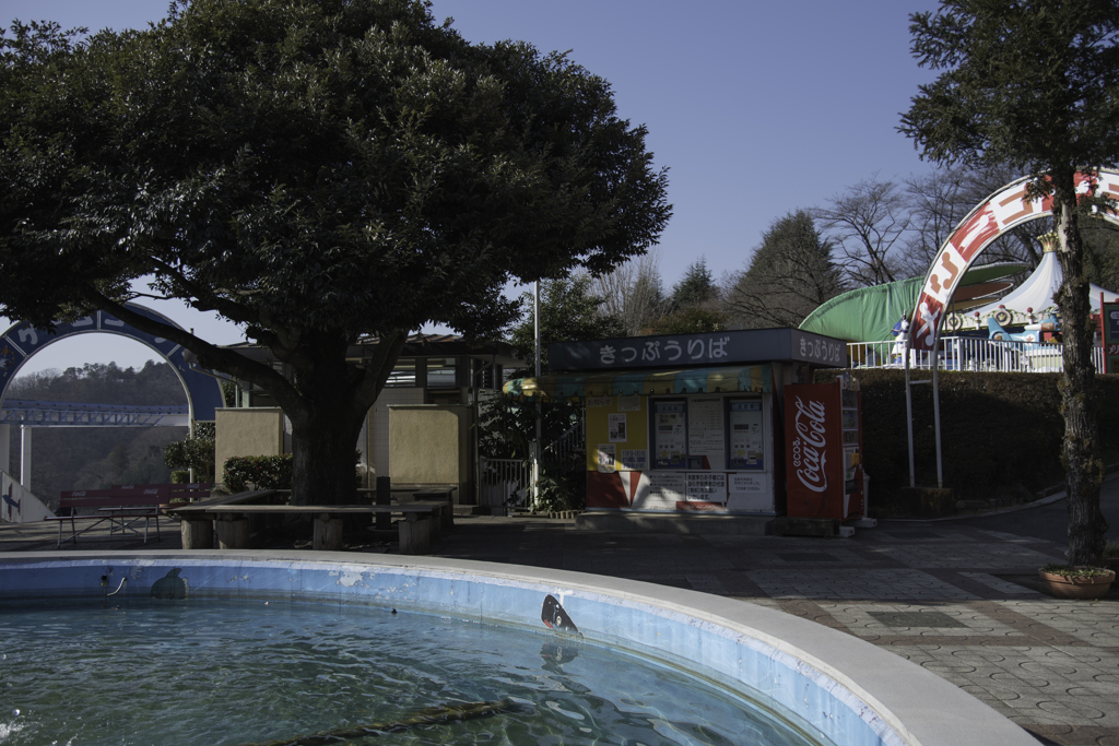 思い出の公園