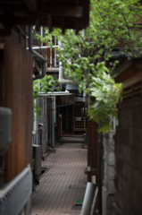 渋温泉