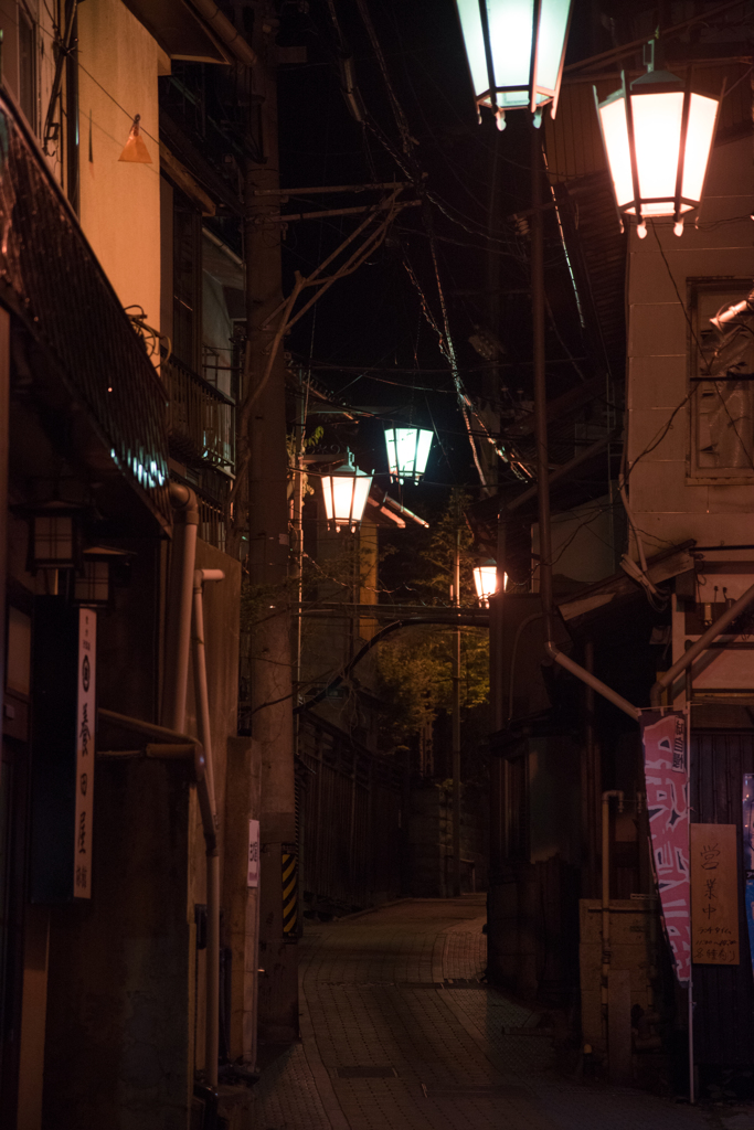 渋温泉街（夜）