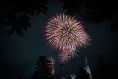 空に咲く花の下で