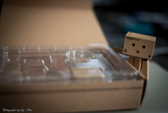 DANBOARD