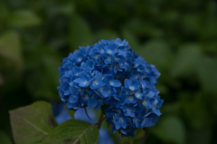 20160604