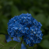20160604