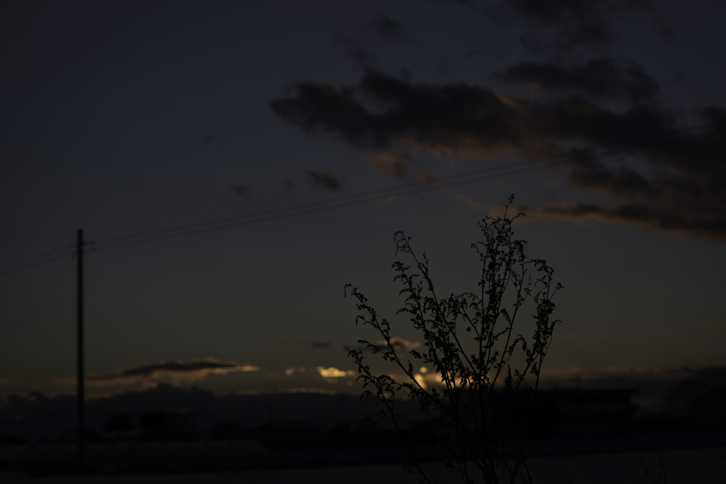 日曜の夕暮れ