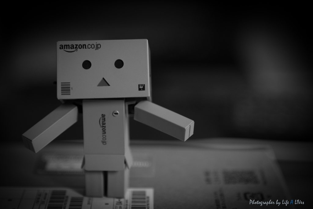 DANBOARD