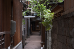 渋温泉