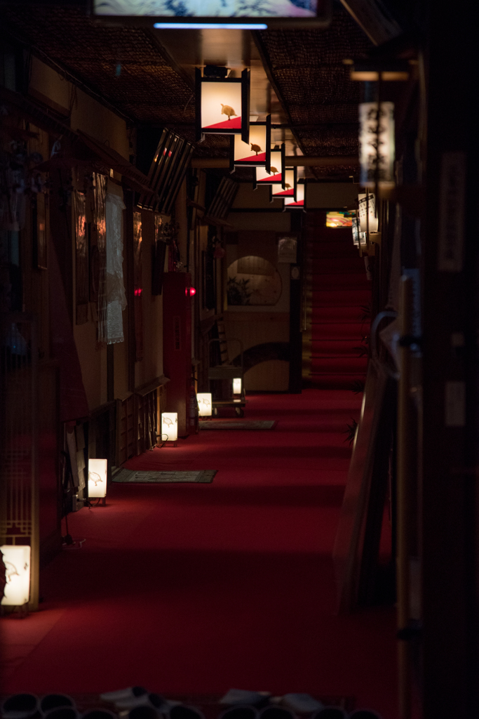 渋温泉街（夜）