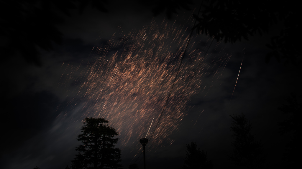 空に咲く花の下で