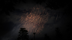 空に咲く花の下で