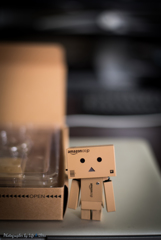 DANBOARD