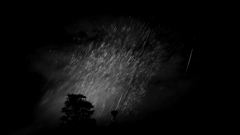 空に咲く花の下で