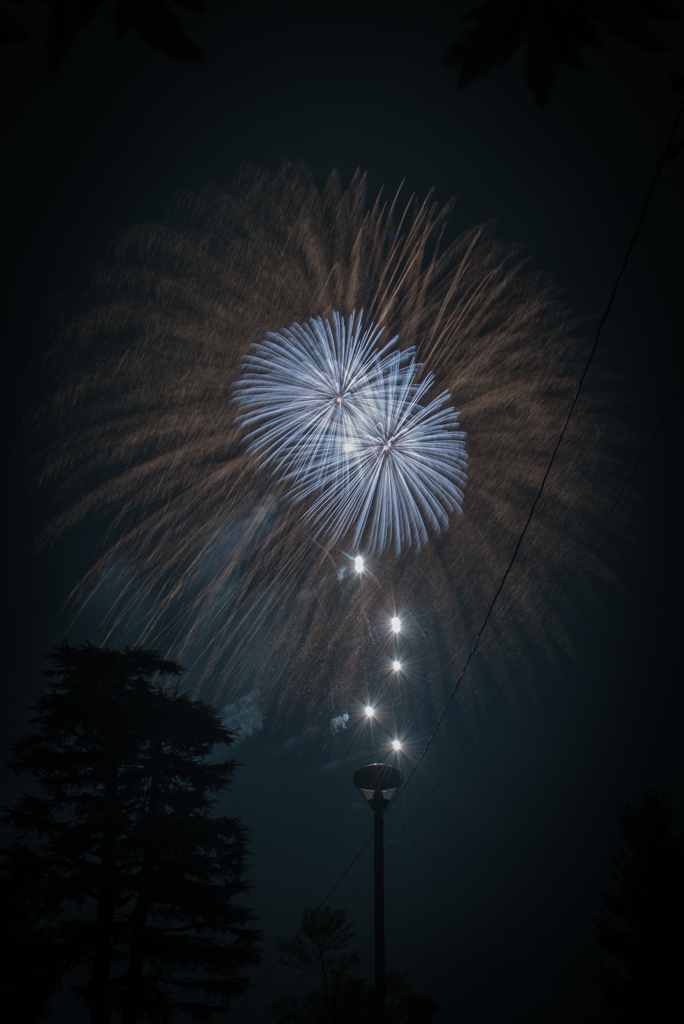 空に咲く花の下で