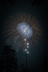 空に咲く花の下で