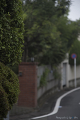 いろは坂を登ると