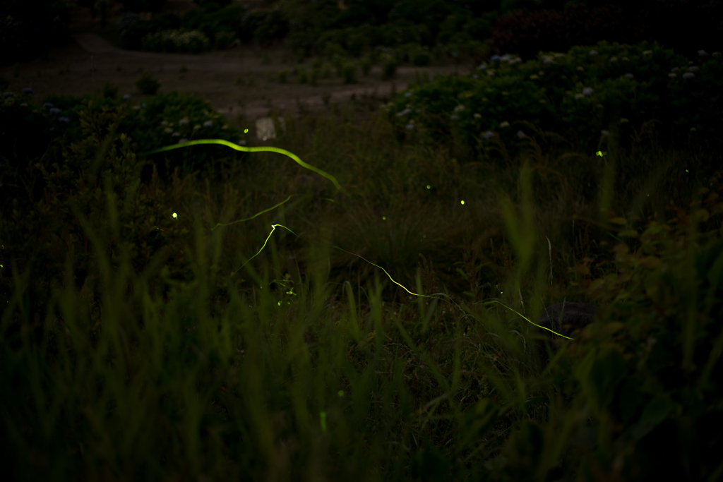 20160604