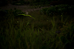 20160604