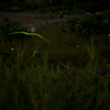 20160604