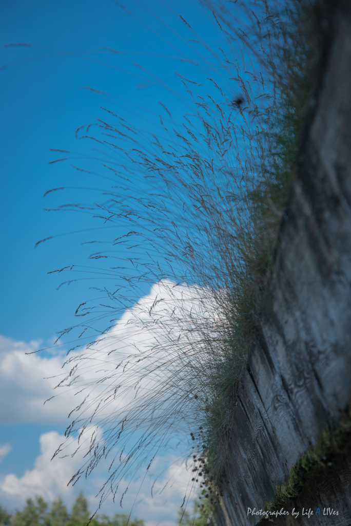 青空の下で