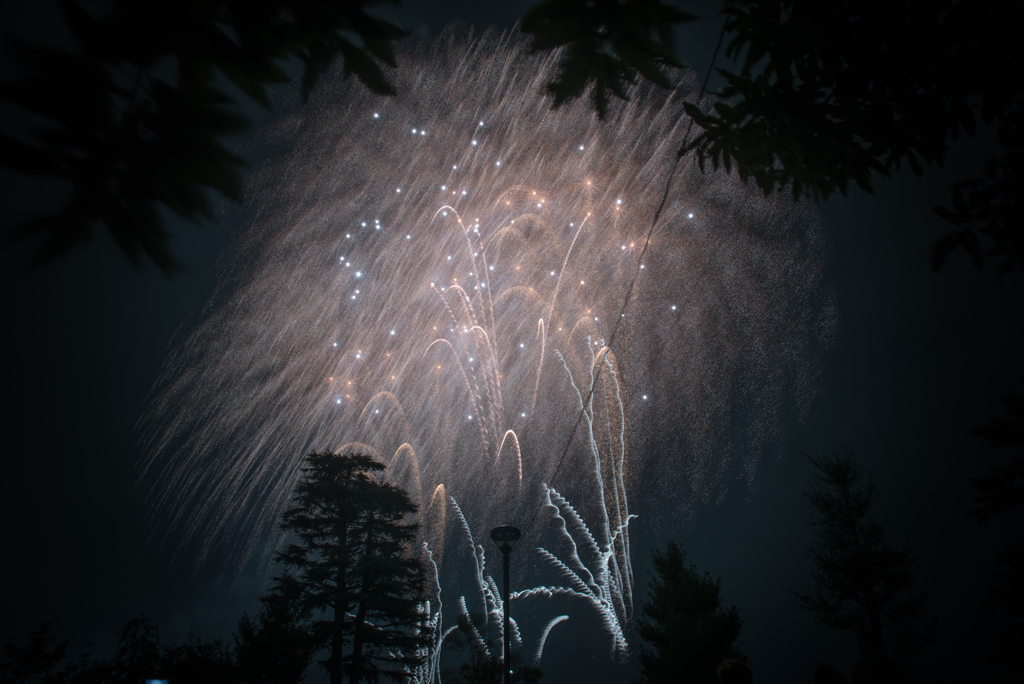 空に咲く花の下で