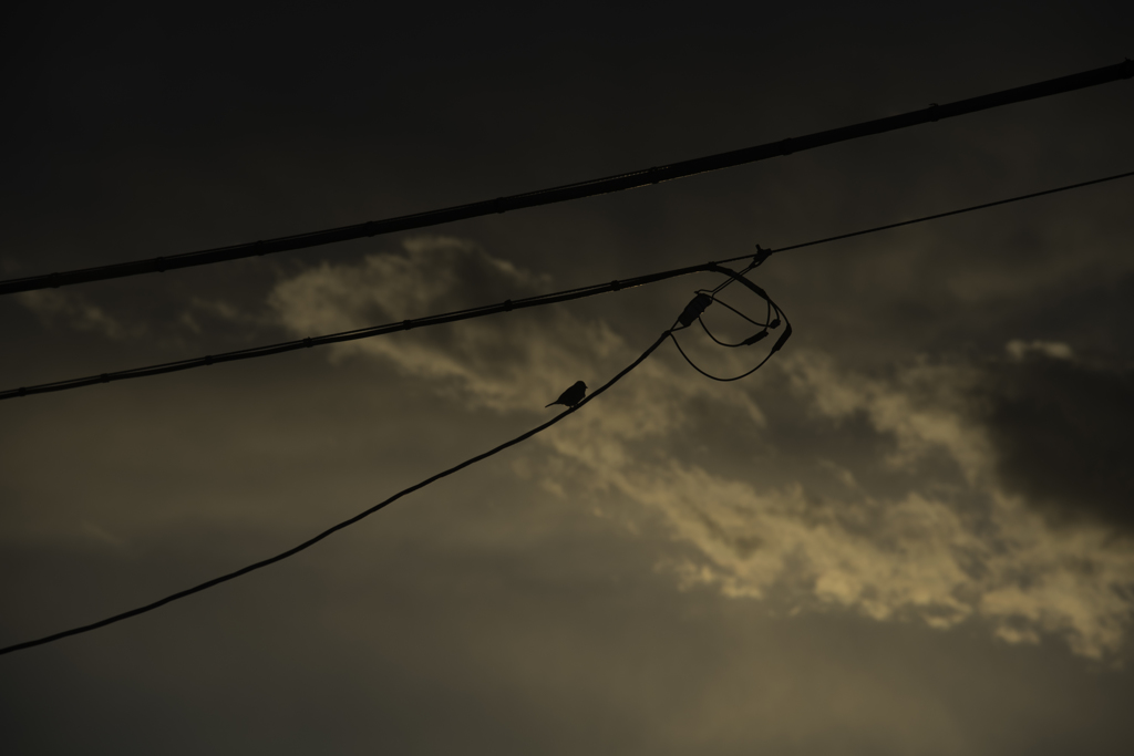 日曜の夕暮れ時