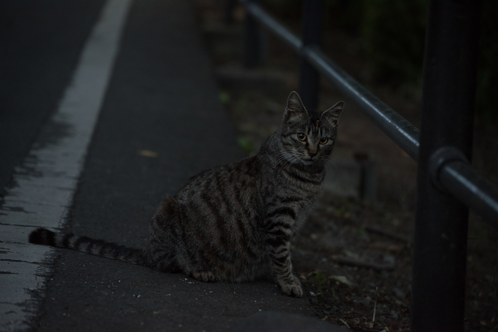 20160604